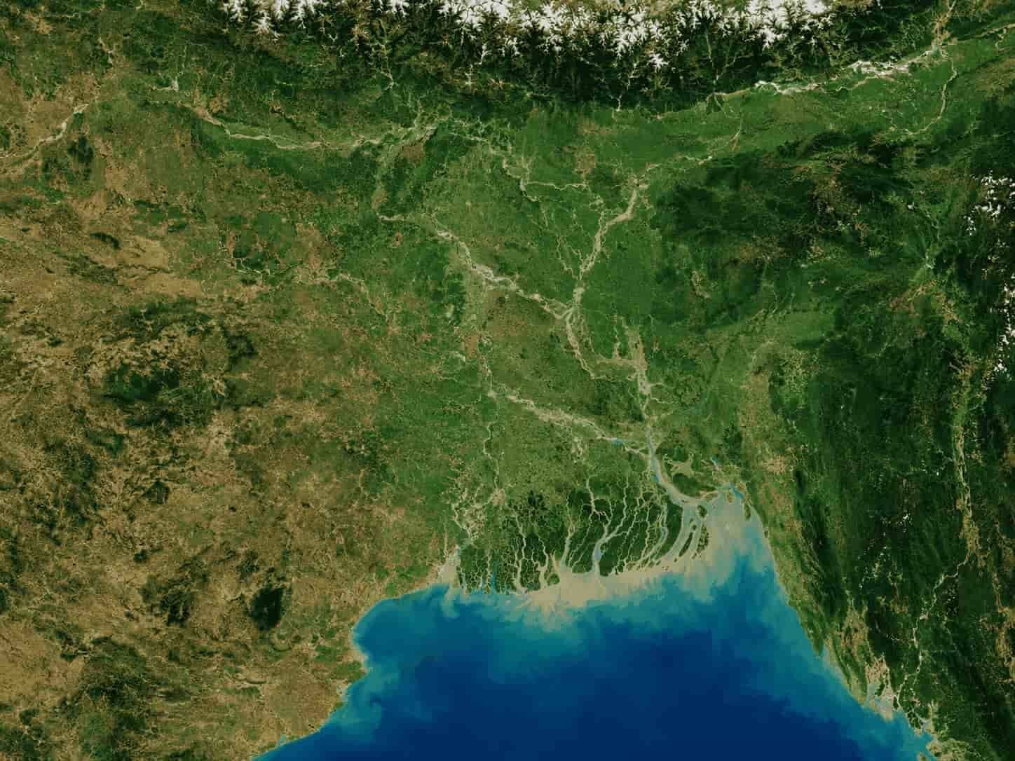 Two Bengals and a Widening Divide