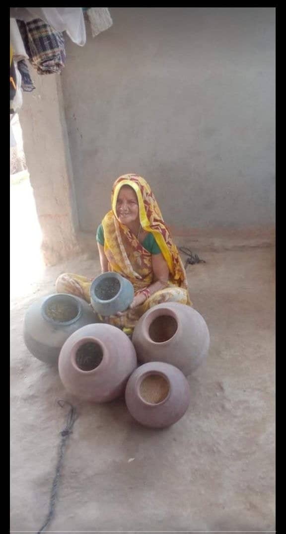 The Seed Mother of Seranagla , How Kankudevi Is Sowing Hope Back into the Fields