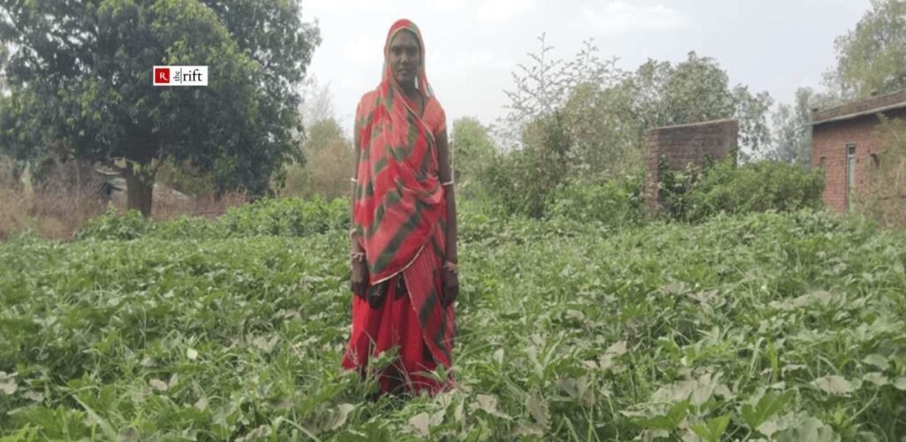 Manju  Devi with her brinjal (eggplant) and okra crop.(Photo Credit: Mukesh Maida, Block Facilitator, Vaagdhara).

