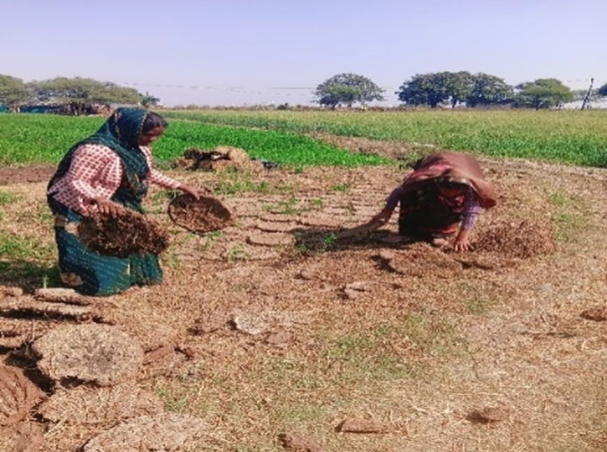 cow-dung-self-reliance