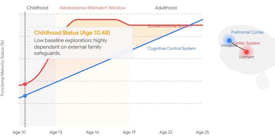 dual-systems or neurodevelopmental mismatch model.